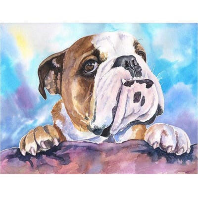 Volledige ronde mozaïek 5d diamant schilderij Engelse bulldog diy diamant borduurwerk 30X40CM