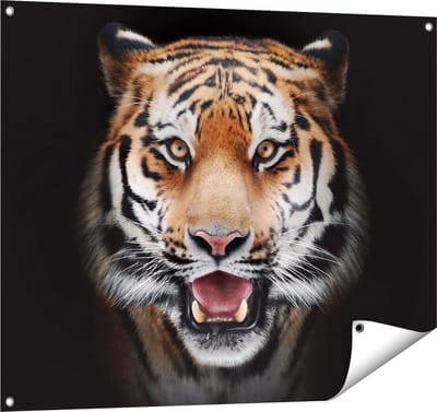 Gards Tuinposter Tijgerkop - Tijger - 100x80 cm - Tuindoek - Tuindecoratie - Wanddecoratie buiten - Tuinschilderij