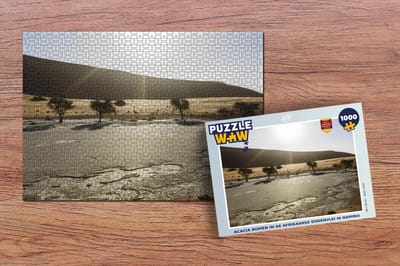 Puzzel Acacia bomen in de Afrikaanse Dodenvlei in Namibië - Legpuzzel - Puzzel 1000 stukjes volwassenen
