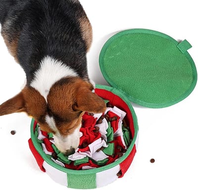 Snuffelmat Hond - Puzzel Voerbak - Mentale Training - Antislip Bodem - 22 cm - Multicolor