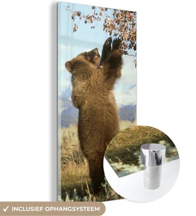 MuchoWow® Glasschilderij 20x40 cm - Schilderij acrylglas - Beer - Bladeren - Gras - Foto op glas - Schilderijen