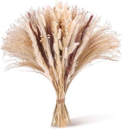 80 Delen Pampasgras Boeket Grote Decoratie Beige Luxe Droogbloemen voor Bruiloft en Boho Interieur