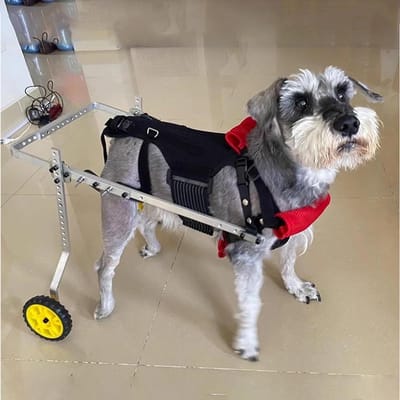 Hond Rolstoel - Huisdier Hulp - Mobiliteit Herstel - Verstelbaar Ontwerp - Tweewielig - Zilver