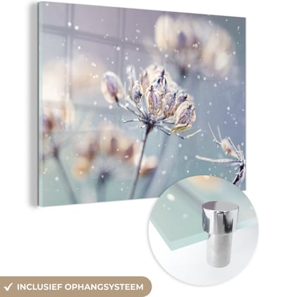 MuchoWow® Glasschilderij 160x120 cm - Schilderij acrylglas - Bloemen - Sneeuw - IJs - Winter - Botanisch - Foto op glas - Schilderijen