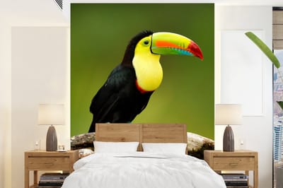 Behang - Fotobehang Vogel - Toekan - Regenboog - Groen - Tak - Breedte 165 cm x hoogte 220 cm