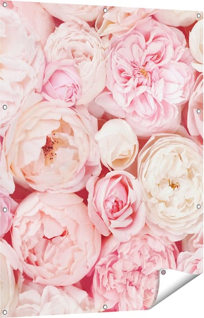 Gards Tuinposter Witte Roze Rozen Boeket - Bloemen - 90x120 cm - Tuindoek - Tuindecoratie - Wanddecoratie buiten - Tuinschilderij