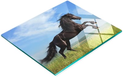 Stijlvol en duurzaam glazen paneel met print van een zwart paard in een weide, 60x52 cm.