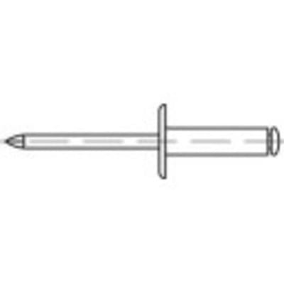 TOOLCRAFT 160082 Open popnagel (Ø x l) 5 mm x 12 mm Aluminium Staal 500 stuk(s)