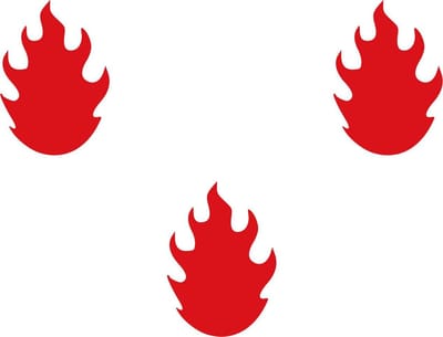 Vlag Saint-Léger 100x150cm