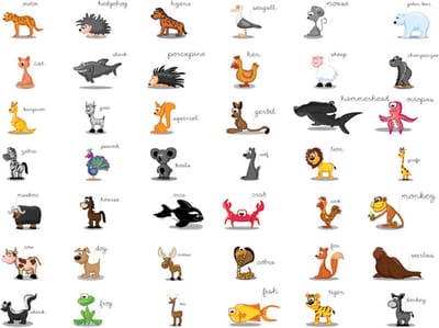 Fotobehang - Learning by playing (animals).