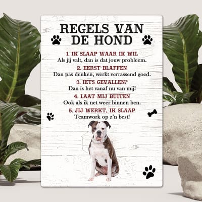 Spreuken - Amerikaanse Buldog - Regels Van De Hond - Spreuken Bordjes - Spreukenbord - Tekstborden - Cadeau - Hondenras