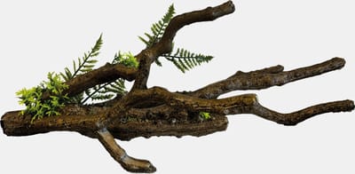 Repto Deco Tak - Kunst Takken Terrarium