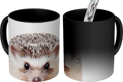 Magische Mok - Foto op Warmte Mokken - Koffiemok - Egel - Dieren - Natuur - Wit - Magic Mok - Beker - 350 ML - Theemok