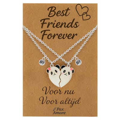 BFF Ketting voor 2 'Best Friends Forever' - Magnetisch Hartje Panda's - Vriendschapsketting op Cadeau Kaartje - 45cm + 5cm verstelbaar - Zilverkleurig - Best Friends Hanger - Pax Amare