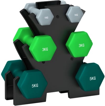 Halterset 6 Dumbbells met Halterstandaard - 2 x 1kg, 2 x 3kg, 2 x 5kg - Metalen Halterset voor Fitness, Gymnastiek, Thuis - Meerkleurig