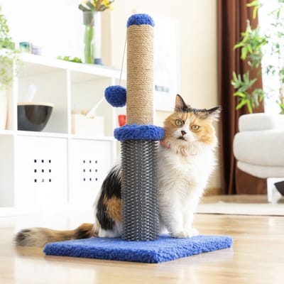 Innovagoods - Krabpaal voor katten - Met balletje - Huisdier