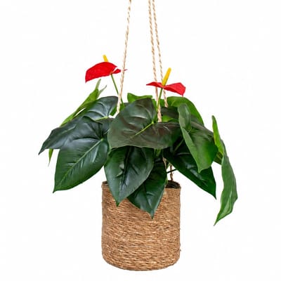 Kunstplant Anthurium in hangmand naturel L100cm