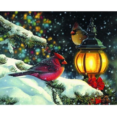 Borduurpakket DIY diamant borduurwerk vogel lantaarn volledige ronde Diamond schilderij mozaïek Home Decor 20X30CM black