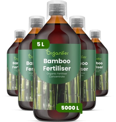 Vloeibare Meststof Voor Bamboe 5X1 L Voor 5000 L - Npk 3-4-3 - Bamboescheuten - Rechtopgaande Groei - Halmdikte - Stevige Halme - Wortel - En Rizoomactiviteit - Polvorming - Weelderig Blad - Windbestendig - Levendige Bladkleur - Organifer