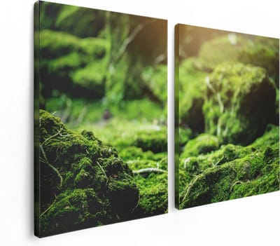 Artaza Canvas Schilderij Tweeluik Groen Mos Bedekt over Stenen - 120x80 - Foto Op Canvas - Canvas Print
