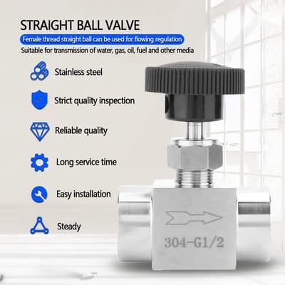 Dailygoods- Naaldklep RVS - BSPP Binnendraad - Water/Gas/Olie/Brandstof - Duurzaam - Goede Afdichting - Geen Lekkage - Afsluitklep