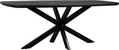 Eettafel Colorado Deens ovaal mangohout 240x110 cm - zwart