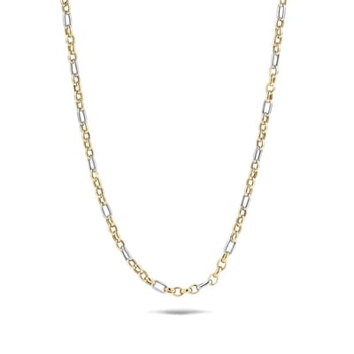 Blush Ketting Dames - Halsketting Dames - Collier - 45 cm
