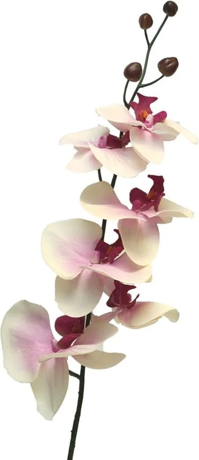 Bellatio Design Kunstbloem Orchidee Milan - wit/roze - 78 cm - losse steel - kunst zijdebloemen - Phalaenopsis