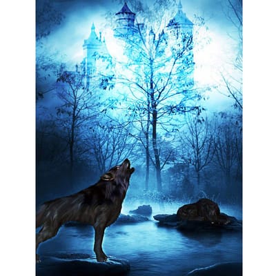Diamant schilderij Wolf volledige boor diamant borduurwerk dier kristal diamant kunst hobby woondecoratie 20X30CM blue