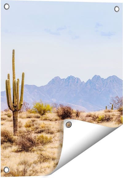 Gards Tuinposter Cactussen in de Woestijn - 40x50 cm - Tuindoek - Tuindecoratie - Wanddecoratie buiten - Tuinschilderij