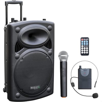 Draagbare luidspreker 15 inch, 800W max, met Bluetooth, draadloze microfoons en langdurige accu