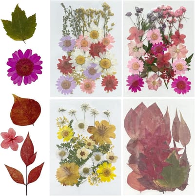 91-delige Natuurlijke Gedroogde Persbloemen en Bladeren voor Hars Sieraden, Kaarsen, Zeep en Creatieve Decoraties