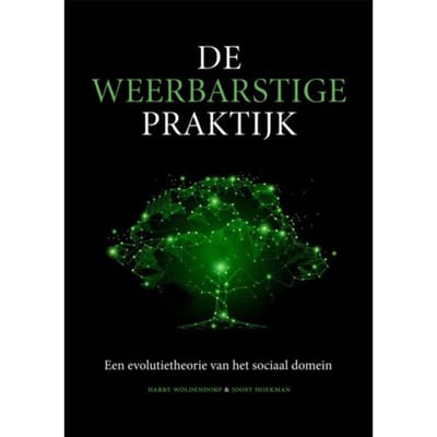 De Weerbarstige Praktijk - Harry Woldendorp
