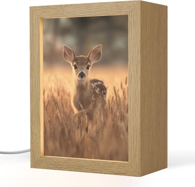 Nachtlampje 15x20 cm - Kinder lampje - Hert - Graanveld - Bruin - Tafellamp kinderkamer - Slaapkamer lamp - Bedlamp kinderen - Kinderlampje stopcontact - Wandlamp babykamer - Nachtlampjes