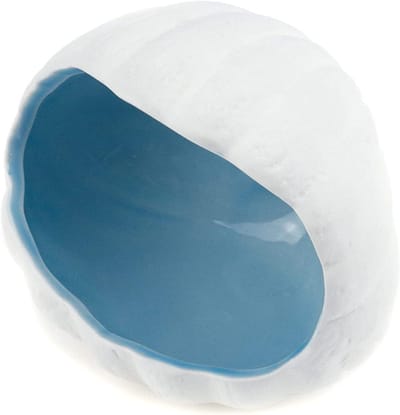 Keramische Sieraden Schotel - Opbergbakje Trinket Houder - Sieraden Organiseren - Schelp Vorm Decoratie