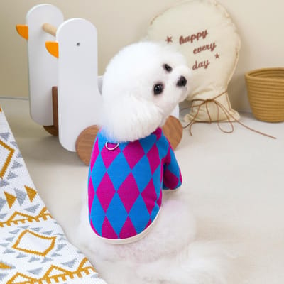 Hond Plaid Jasje Kleine Hond Herfst en Winter Diamantpatroon Vest Kat Kleding Huisdier Kleding Puppy Kleding Hond Kleding Winter XXL