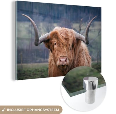 MuchoWow® Glasschilderij 60x40 cm - Schilderij acrylglas - Schotse Hooglander - Hoorns - Berg - Foto op glas - Schilderijen