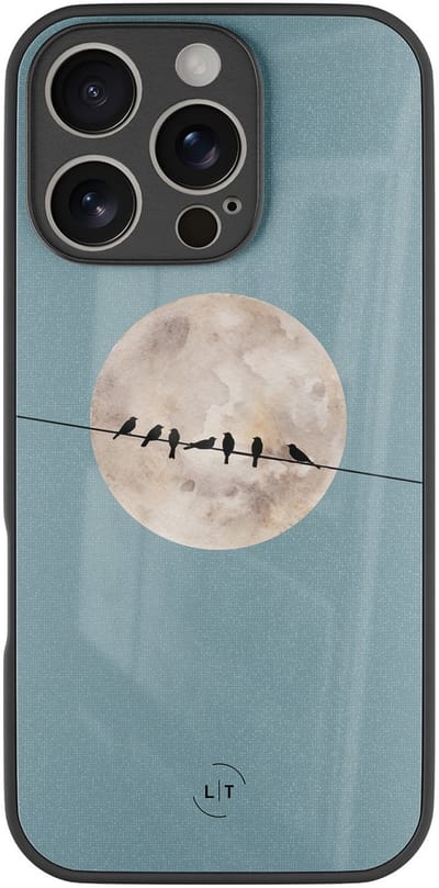 Hoesje geschikt voor iPhone 16 Pro - Moon birds - Luxe Glazen Hardcase - Hippe print - Blauw - Leuke Telefoonhoesjes