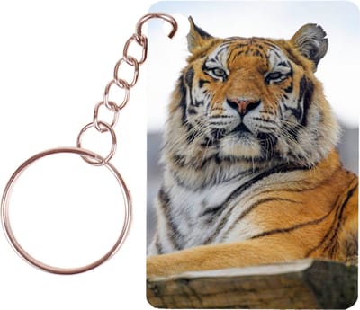 Sleutelhanger 6x4cm - Tijgers - Op Rots
