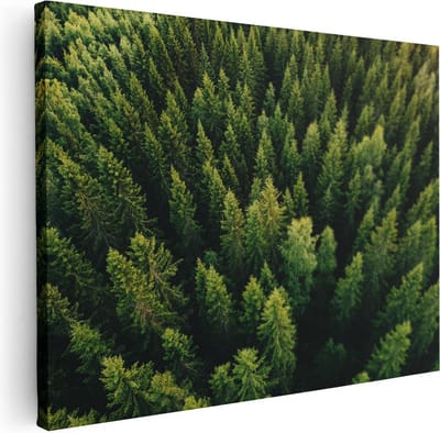 Artaza Canvas Schilderij Bomen - 40x30 cm - Klein - Wanddecoratie Bos Vanuit De Lucht - Muurdecoratie Natuur - Kamer Accessoires Landschap