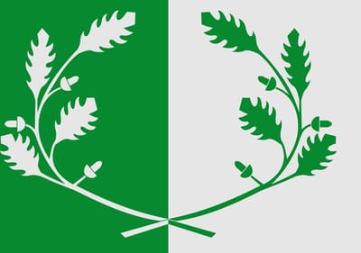 Vlag Eeklo 200x300cm