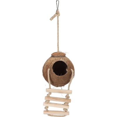 Perroquets Suspendus Maison Noix de Coco Naturelle avec Échelle Oiseau Hamster Cage Balançoire Nid Jouet Noix de Coco Poilue beige