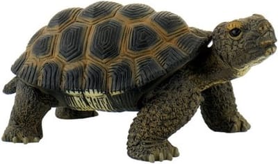 Bullyland 63553 – Speelfiguur en verzamelfiguur Schildpad – ca. 5 cm – levensecht en detailrijk vormgegeven – ideaal als educatief speelfiguur, taartdecoratie of klein cadeautje voor kinderen vanaf 3 jaar.