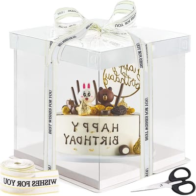Transparante Taartdoos 30 x 30 x 25 cm, Dubbele Laag voor Cupcakes en Muffins, Cadeauverpakking voor Feestjes en Verjaardagen, Ideaal voor Taart en Gebak