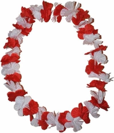 Funny Fashion Hawaii krans slinger - kunststof - rood en wit - bloemenslingers - om je nek - party