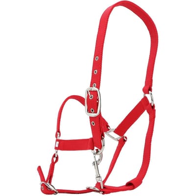 6mm Verdikte Rode Kleur Verstelbaar Paardentuig Controle Halster Rijaccessoires red