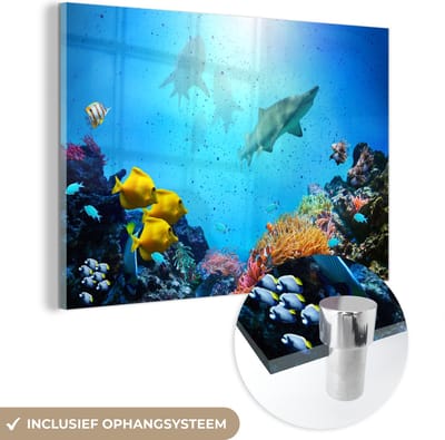 MuchoWow® Glasschilderij 120x80 cm - Schilderij acrylglas - Zee - Vissen - Kleuren - Foto op glas - Muurdecoratie woonkamer - Wanddecoratie slaapkamer - Schilderijen