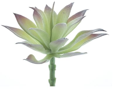 Erutan avon - Agave pick Guanita flocked green 16 cm