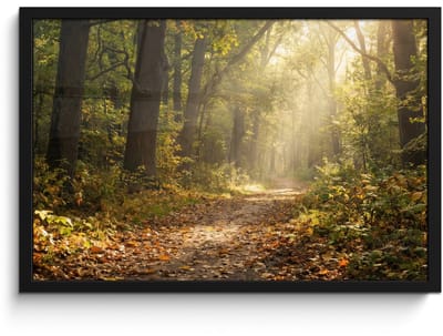Poster in lijst - Fotolijst 60x40 cm - Posters - Zonlicht - Bospad - Bomen - Posterlijst zwart - Decoratie - Wanddecoratie woonkamer - Muurdecoratie slaapkamer