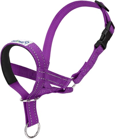Verstelbare Hondenhalsband van Nylon met Reflecterende Strepen - Veiligheidsriem voor Honden, Training, Maat S, Paars